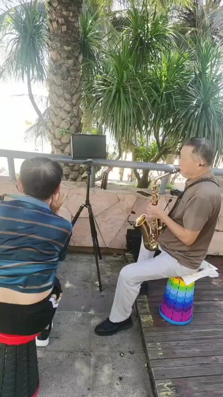 低调低调
