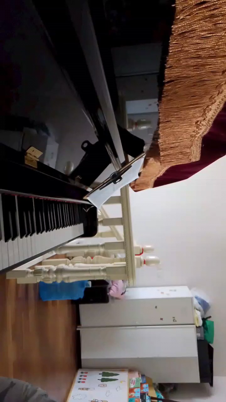 练了好久，不喜勿喷！（因为是自学的，不会合弦，请理解谢谢）