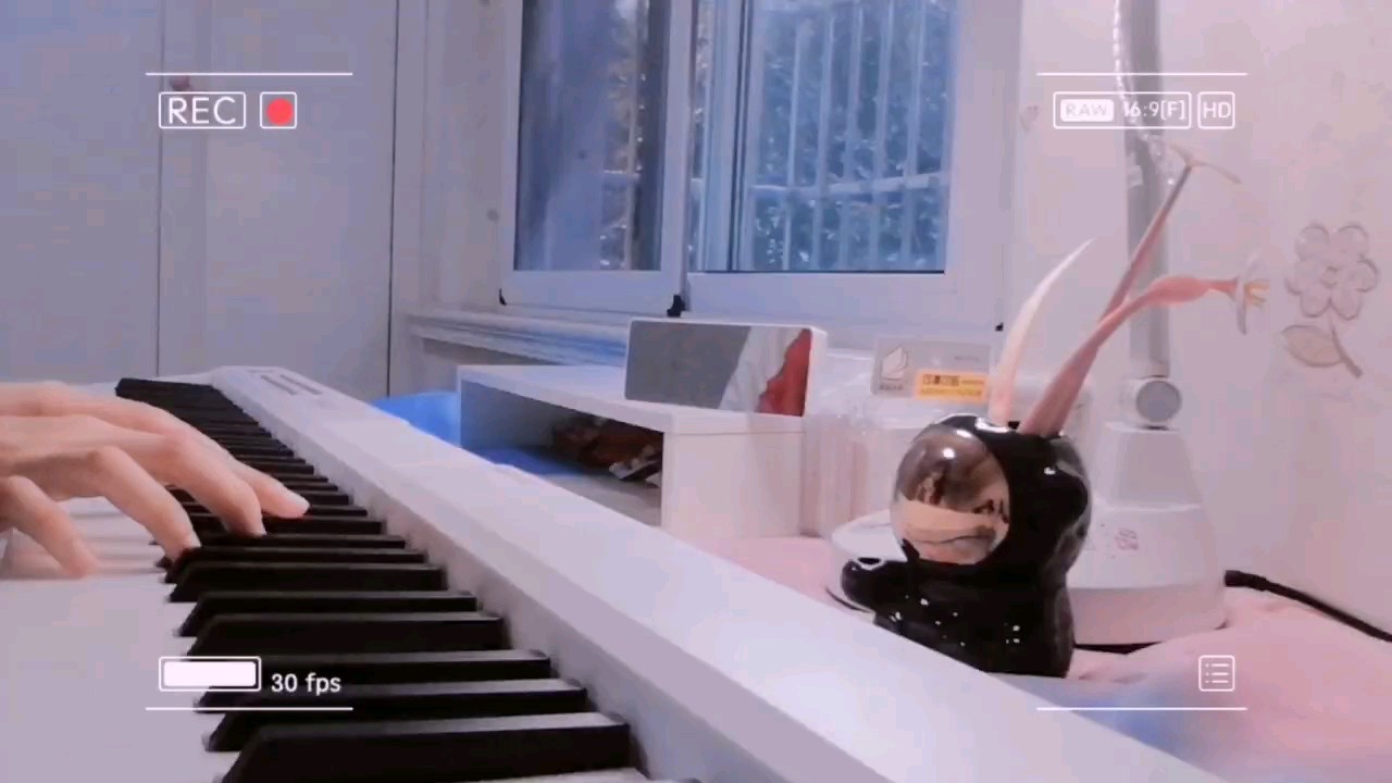第一次自学的曲子，弹的不是很好噢💦💦💦