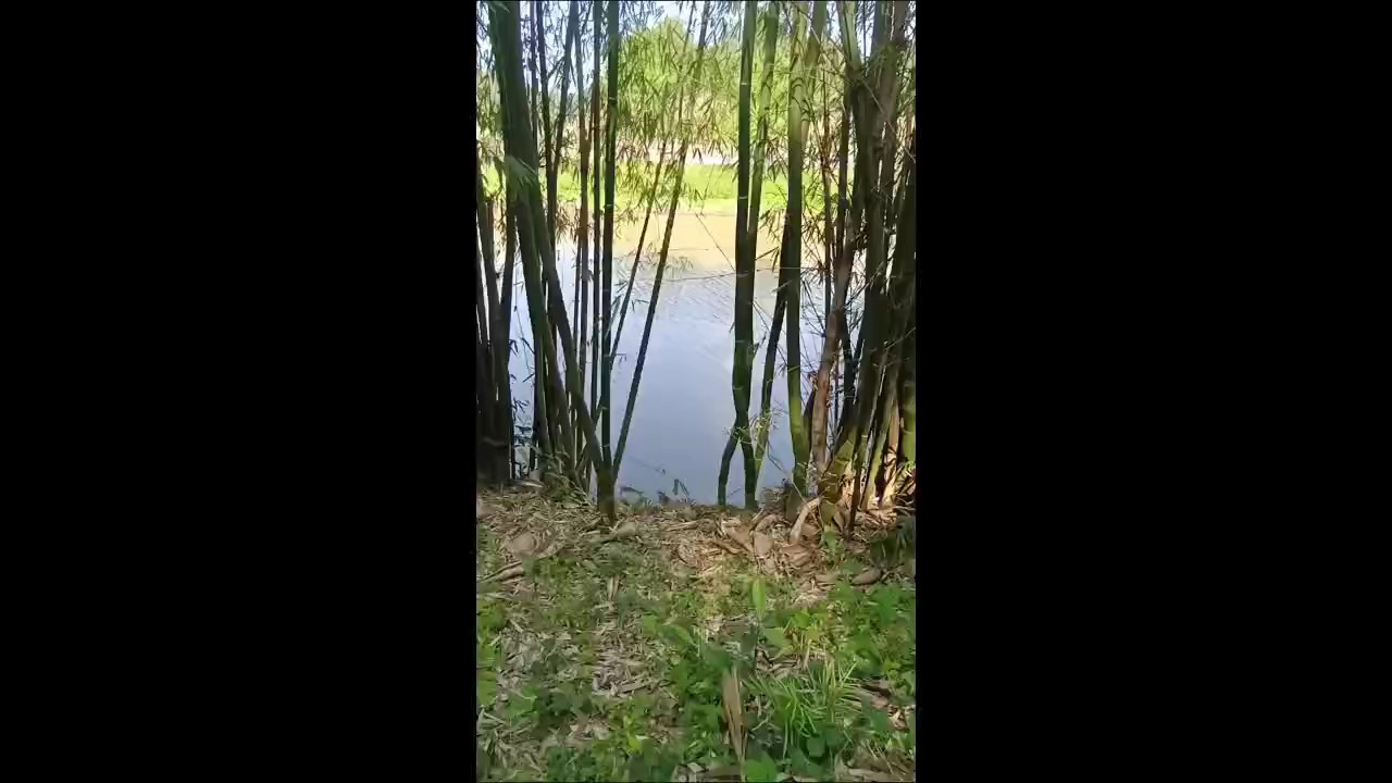 春天.