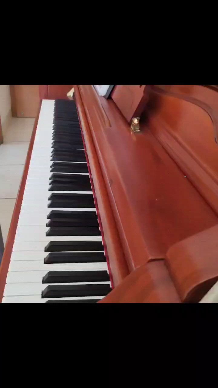 葬花，就学了一点