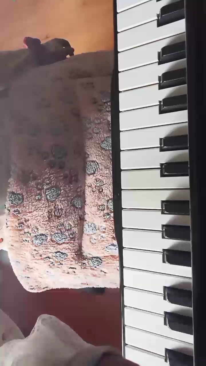 好听的曲子来了，王菲的《世界赠与我的》