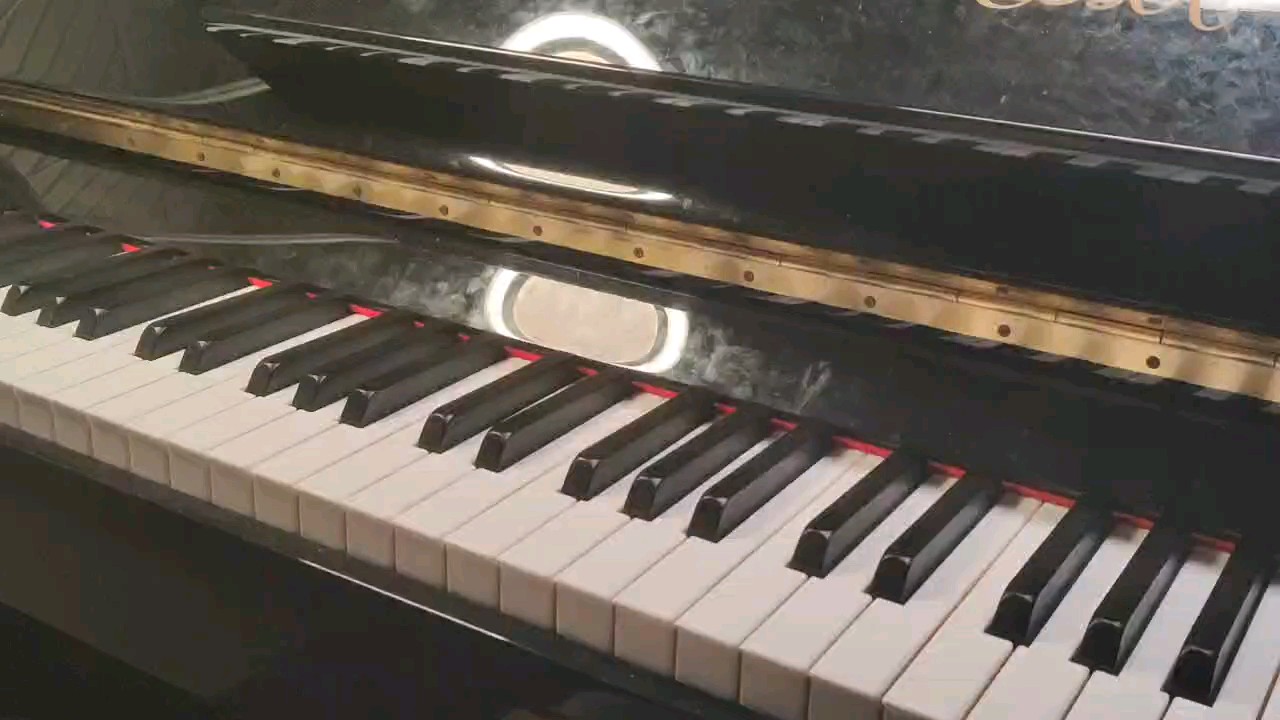 我是从小叶子智能陪练音乐厅来虫钢的，请多多关照