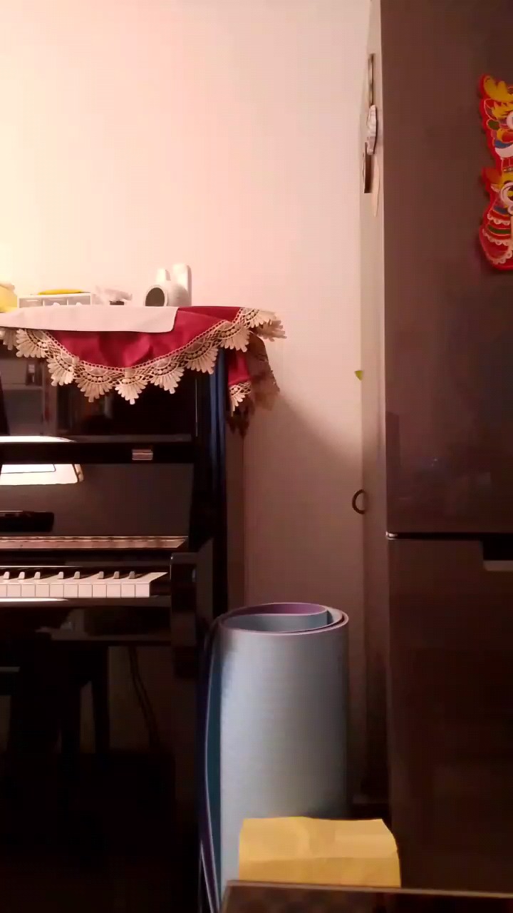 不好意思。碰错了好多音🙏🙏😭😭