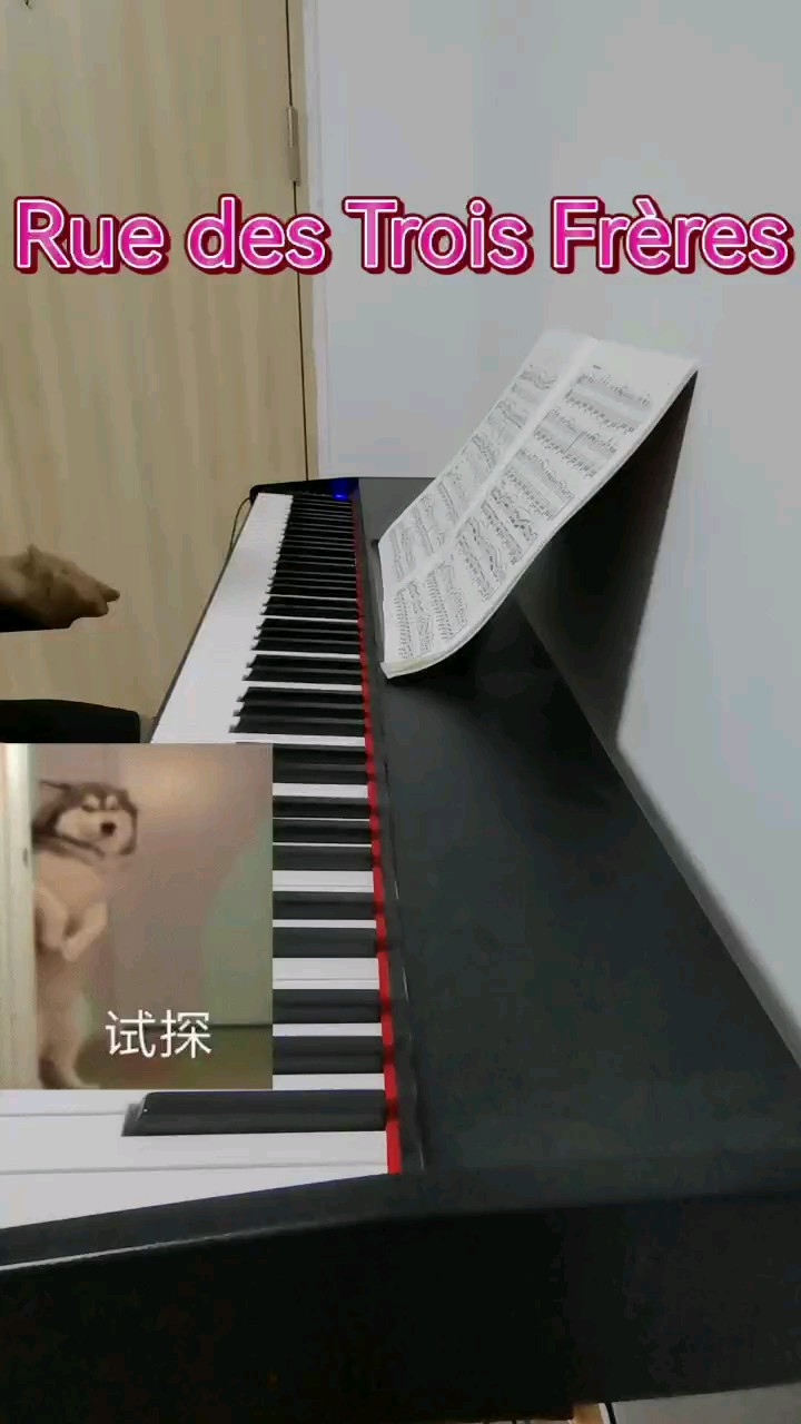 Rue des Trois Frères-感觉木得一点感情🤷‍♂️🤷‍♂️