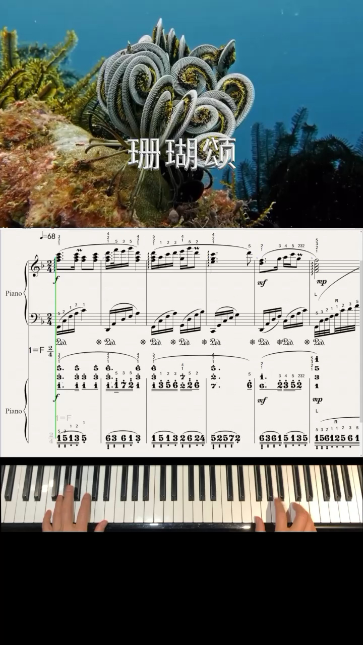 曲式结构简单工整，旋律具有很强的民族风味，优美深情的情绪……