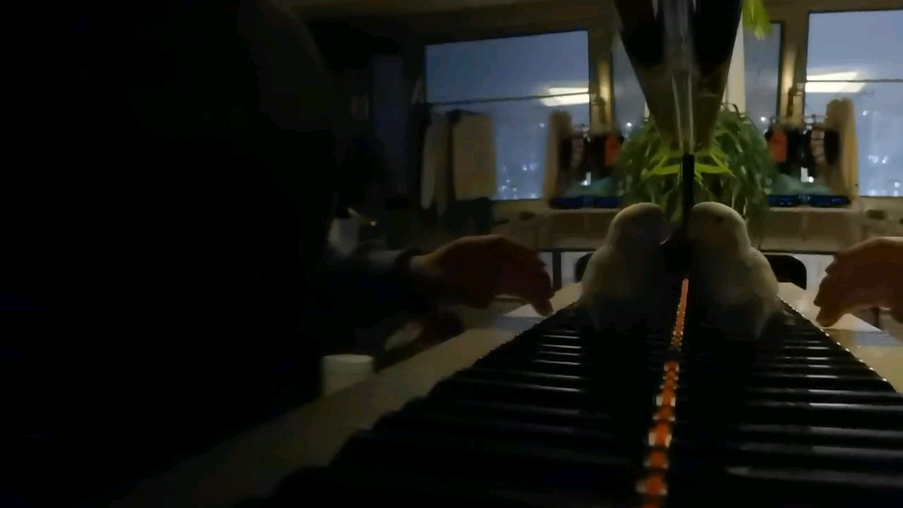 随便翻的内存