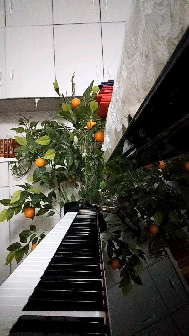 给我点个赞吧，谢谢｡:.ﾟヽ(*´∀`)ﾉﾟ.:｡