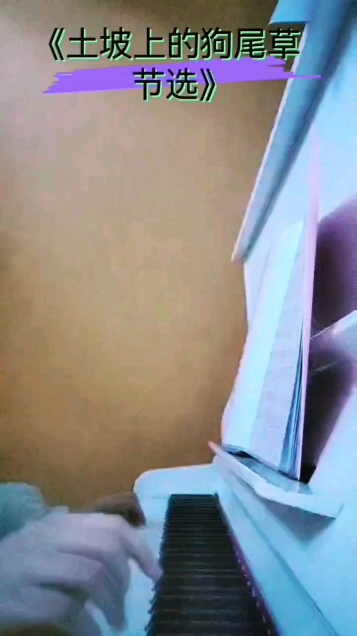 更希望各位大佬可以带一下我可以吗？