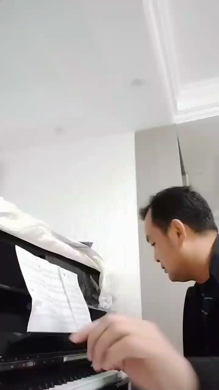 泰坦尼克号的主题曲我心永恒，，初级的