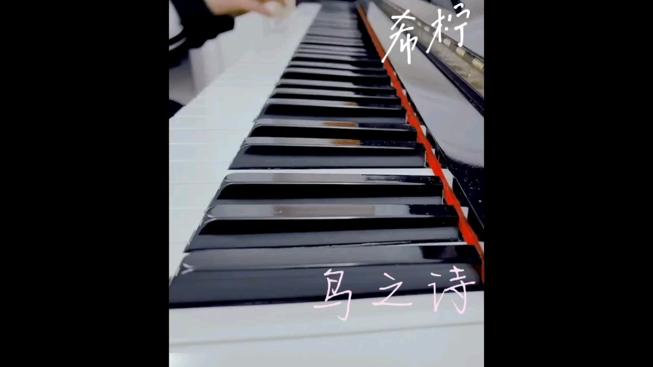 鸟之诗