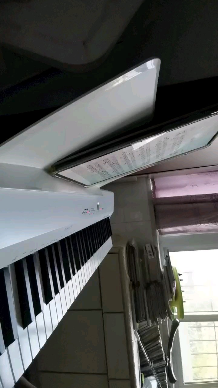 （〜^∇^)〜精卫