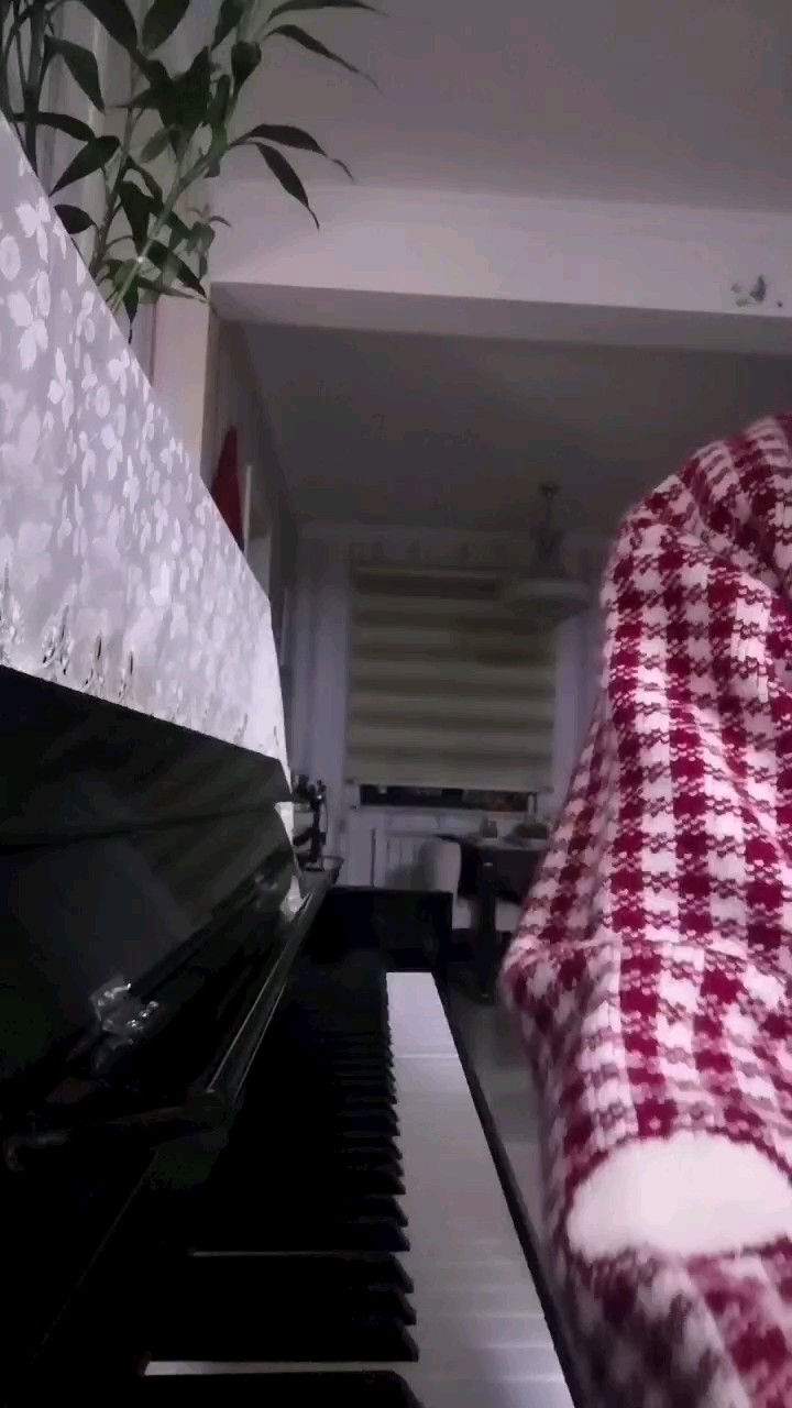菊次郎的夏天，（鱿鱼是晚上踩个踏板）