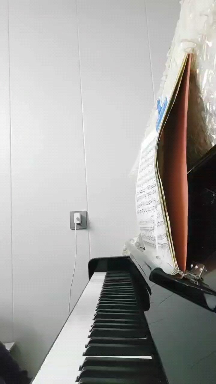 这首练习曲比较简单哟😊