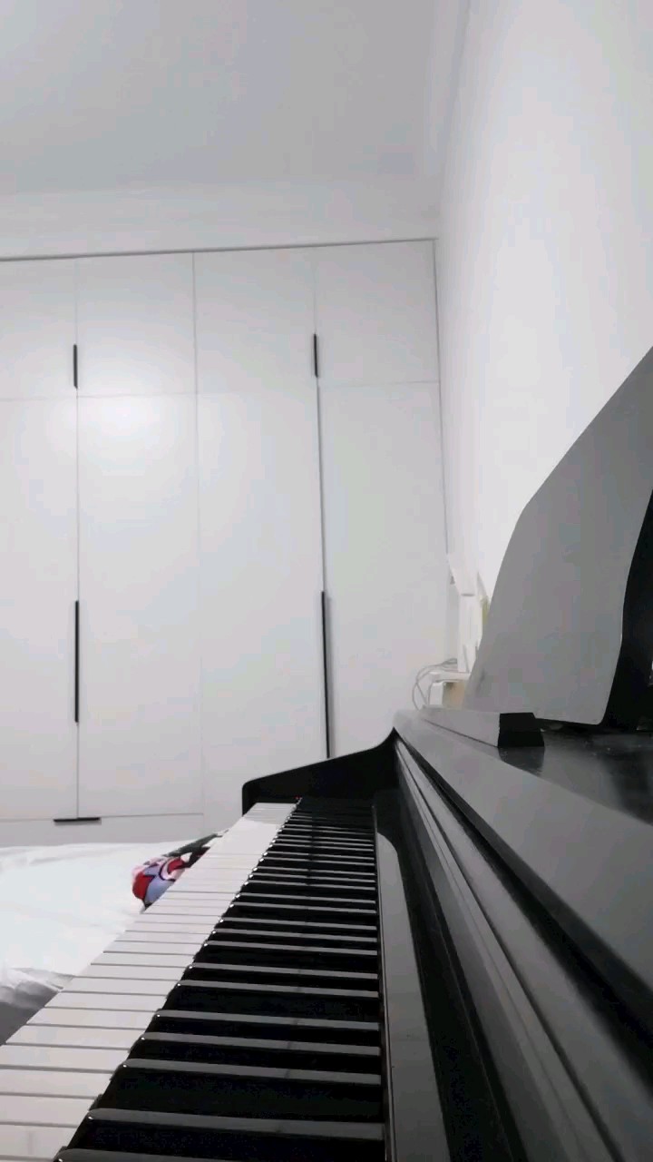 没有学过钢琴，请大家轻喷