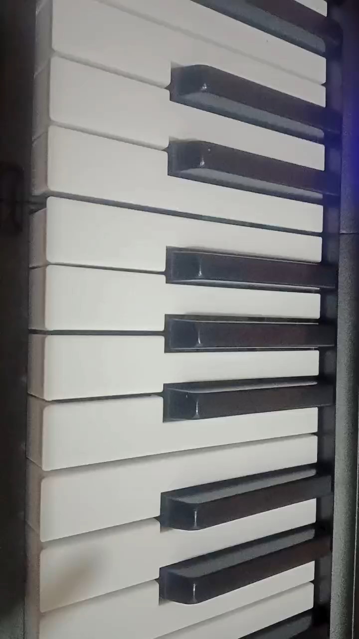 刚从古筝转到电子琴不太熟练