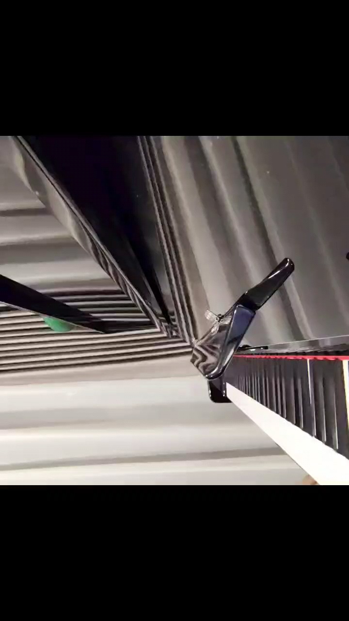鸟之诗