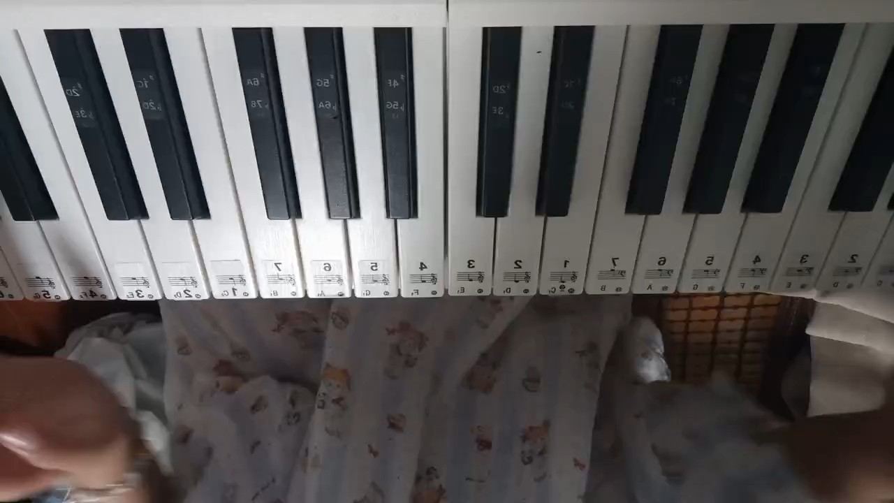 有一点不熟，大佬请指导～