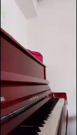 小葉子也可以互