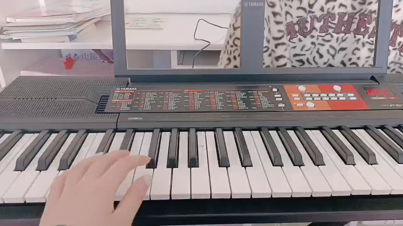 非专业选手😂，但是非常喜欢他的节奏感