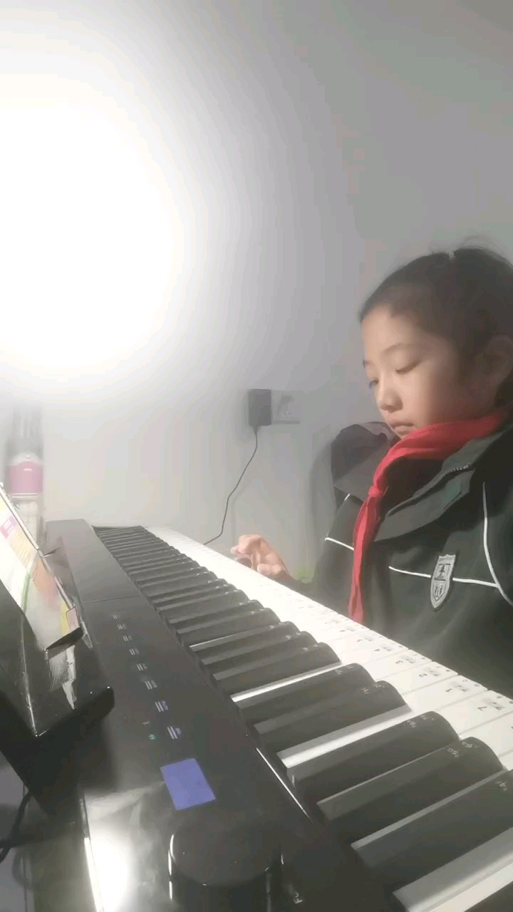 我还只是个新手😭