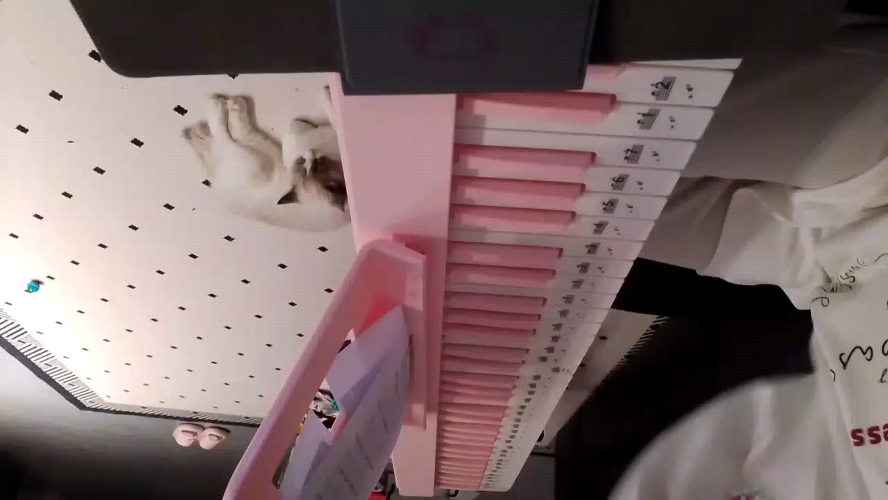 在家随便瞎弹弹，没有学过电钢😊😊