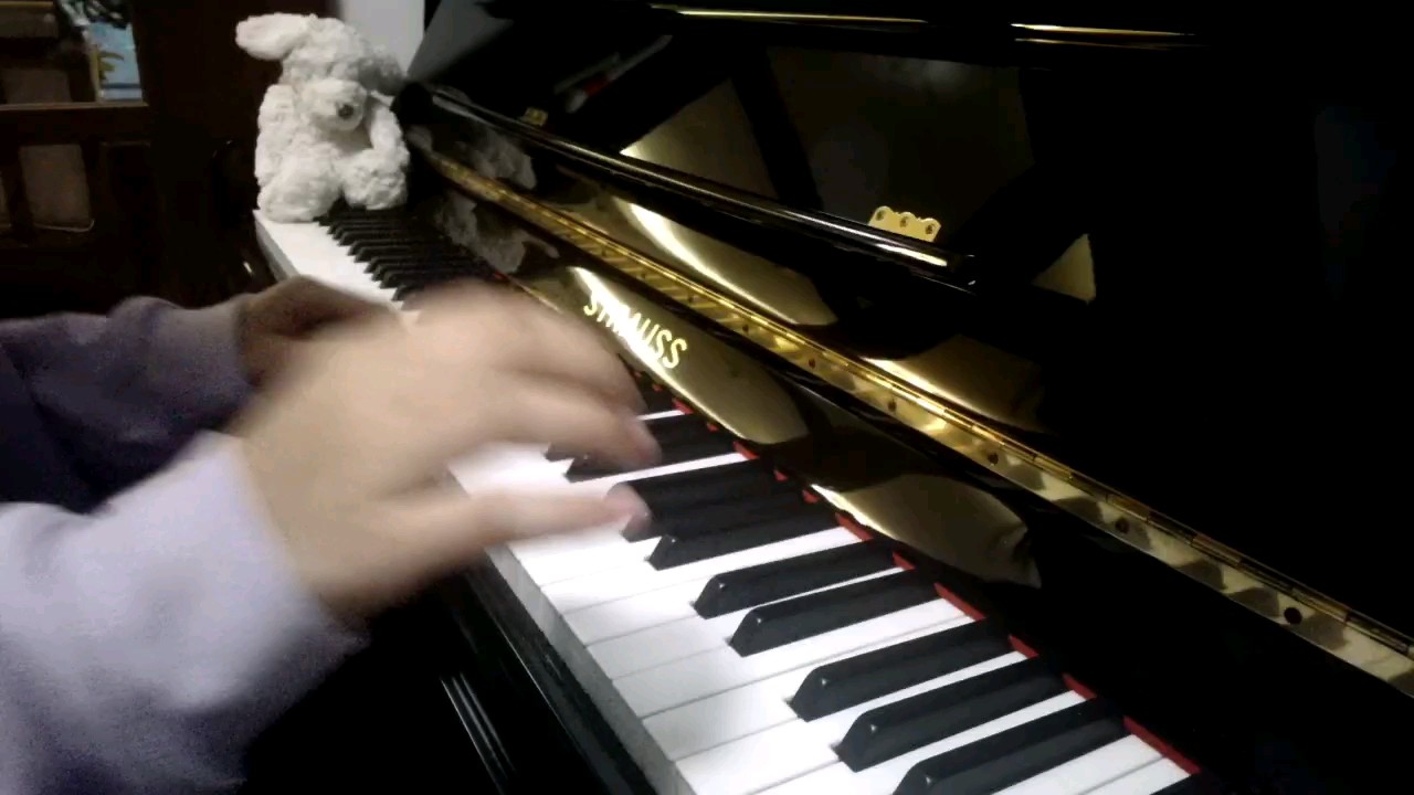 额虫钢好像没有十九日极夜的谱。？

不过问题不大迟述nb永远幸福