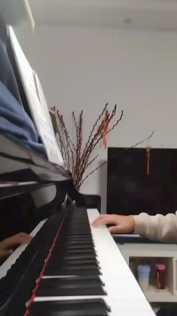 试弹一下，随便听听吧😂
我才五年级，请多多包涵🙏🙏