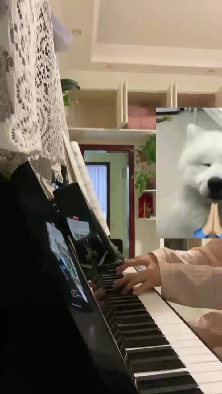 Jay 可能这才是真正的意义