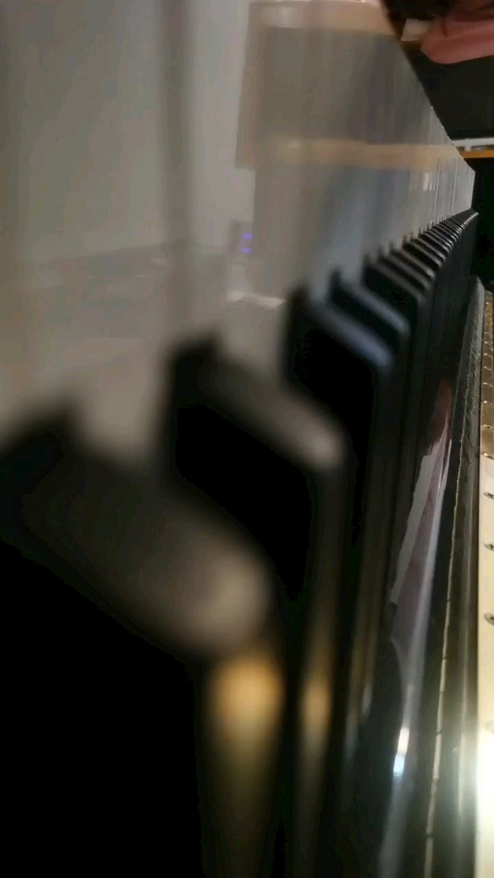 按琴键时太大力了，请勿喷🙏