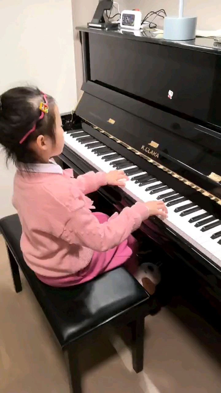 The Singing Swan，享受音乐