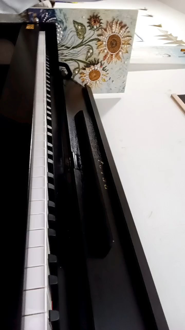 练了快半年了，还是有一些错音。家里没有节拍器，后面越来越快了。
