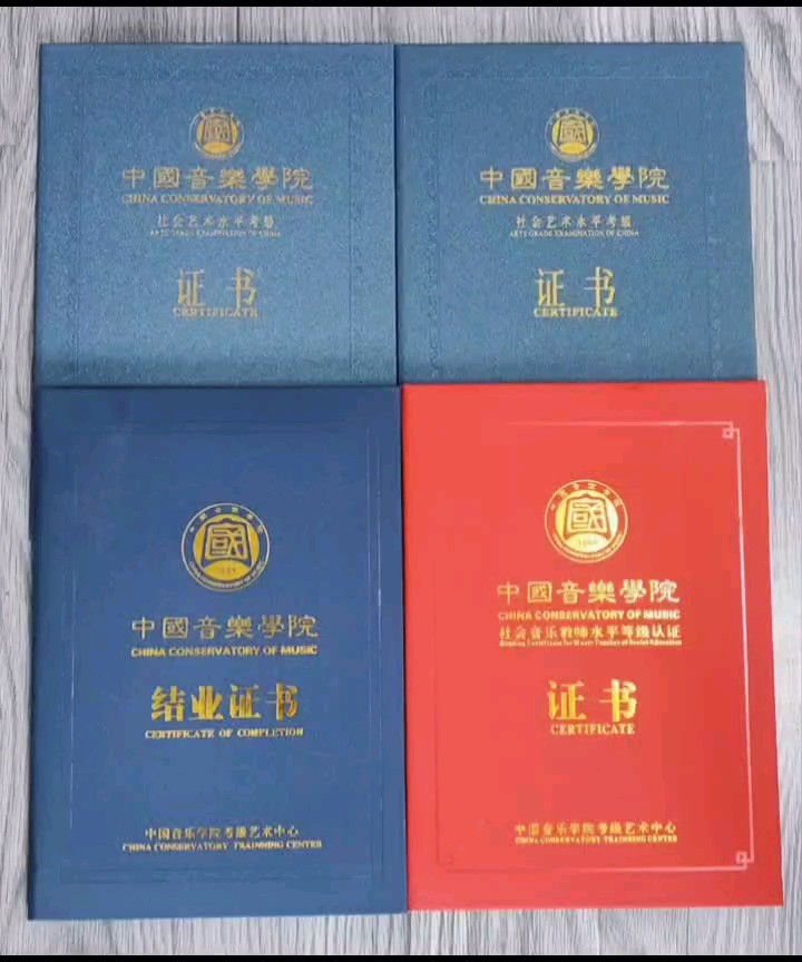 中國音樂學(xué)院師資培訓(xùn)、考官培訓(xùn)