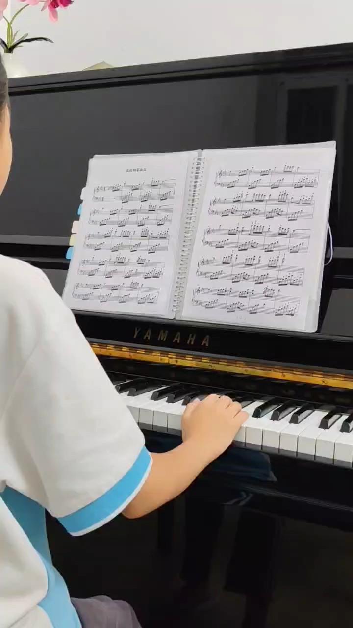 ？这首曲子太多错误了😪