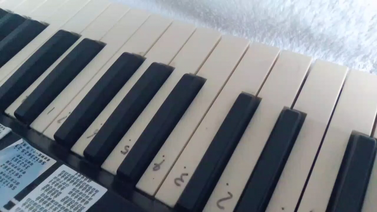 ヾ(●´∇｀●)ﾉ哇～