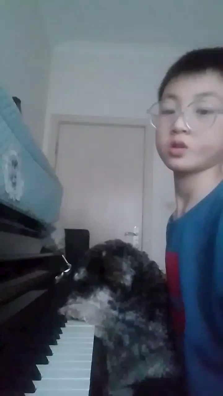 人狗搭配