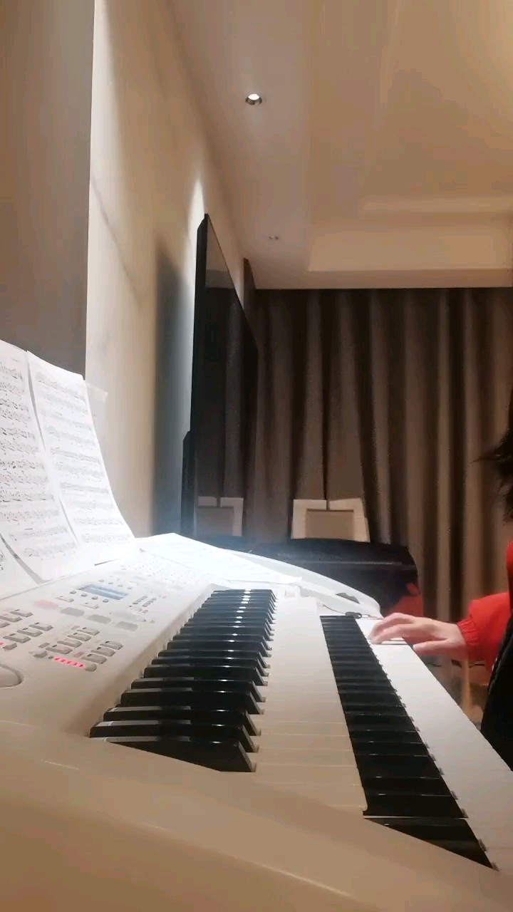 众多钢琴里面混进了一个双排键的。小学生勿喷。