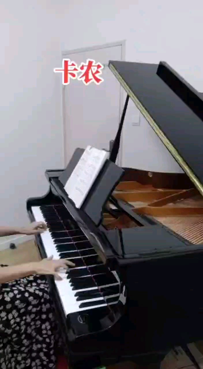 《卡农》
