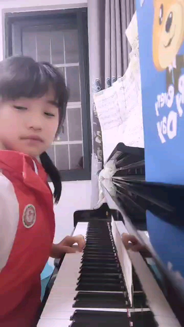 下次我弹半生雪的爱国版