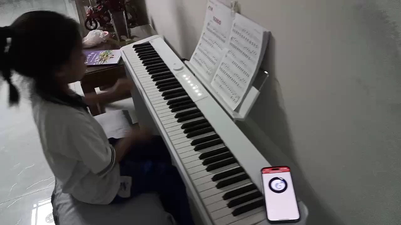 这一次我尽力了，希望大家多关注哦！