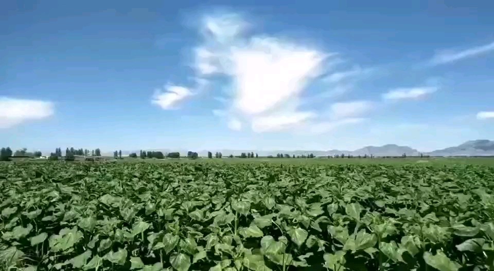 内蒙古二狼山，霍去病封狼居胥之地！