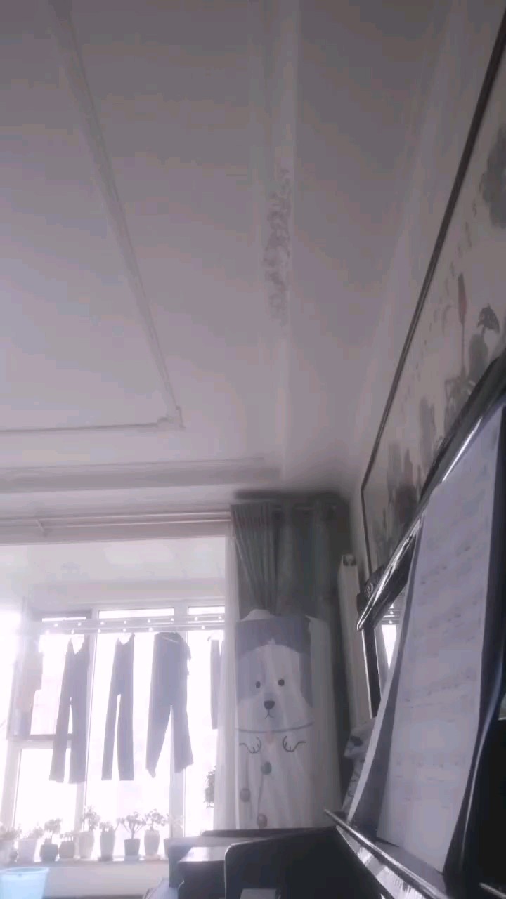 太紧张了，有好多错，不喜勿喷，弹的是前两页