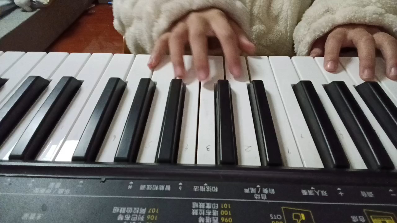 今天用来弹琴啦