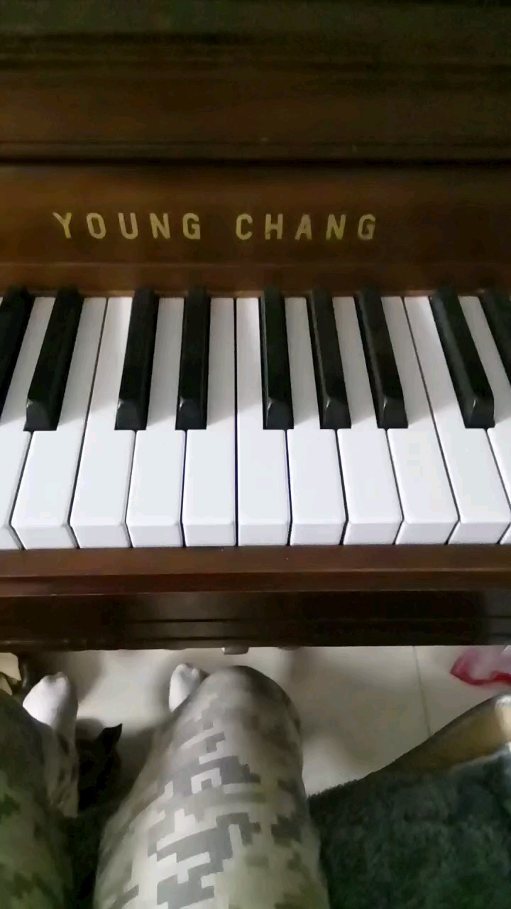 看