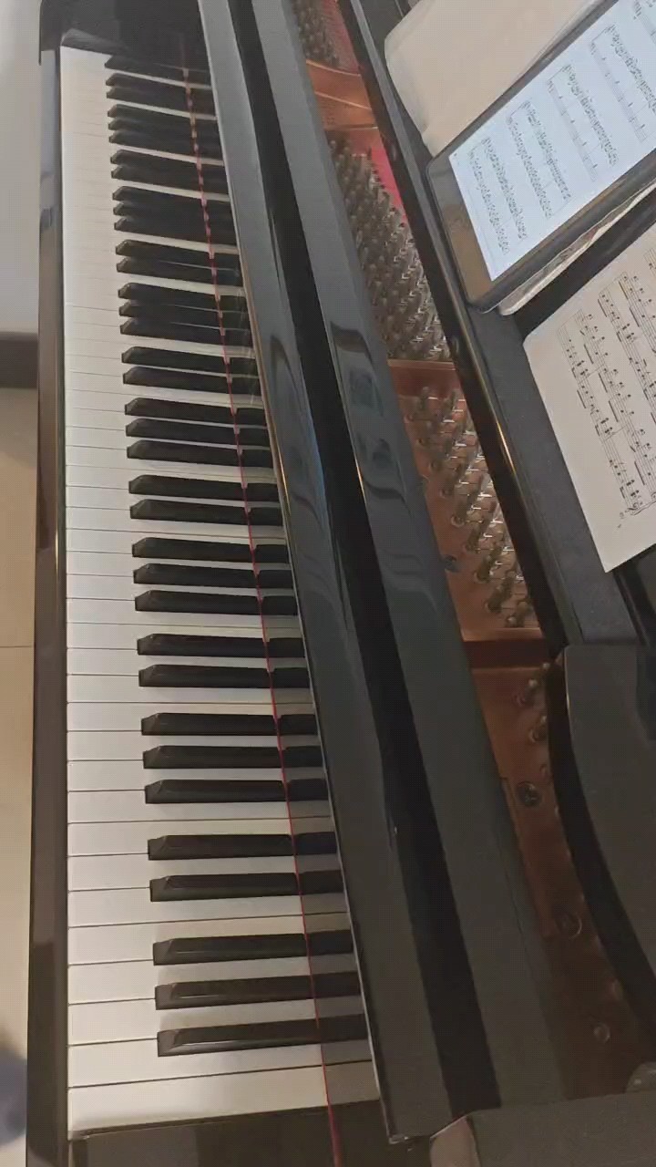 《shots》完美还原版钢琴谱演奏