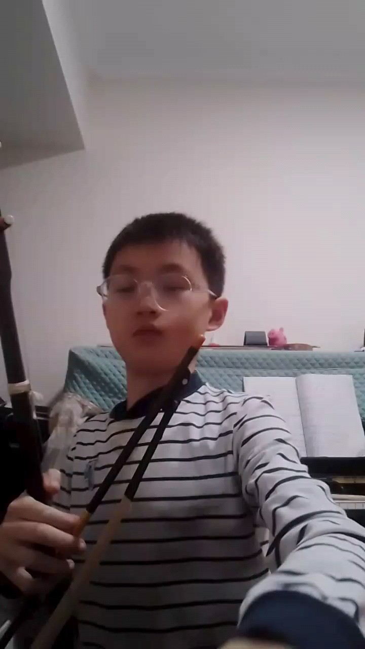 二胡，用这个建议声音小，有些炸音，不是技术好，其实可以拉专业曲子的，只是录音有问题。