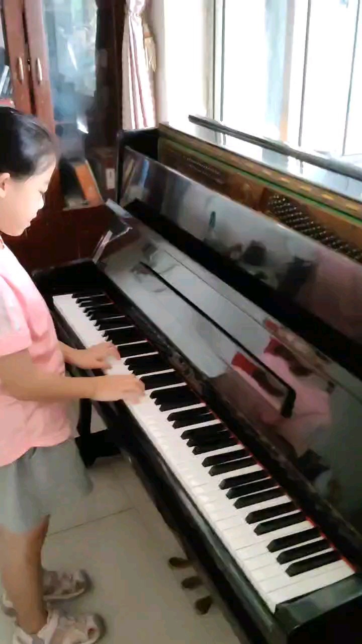 新买的琴