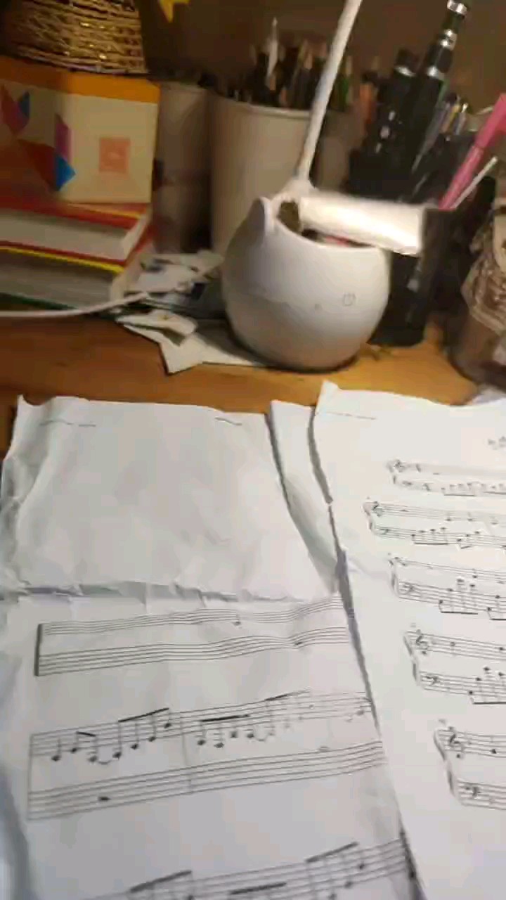 这个谱子应该不错，就是不小心弄皱了。