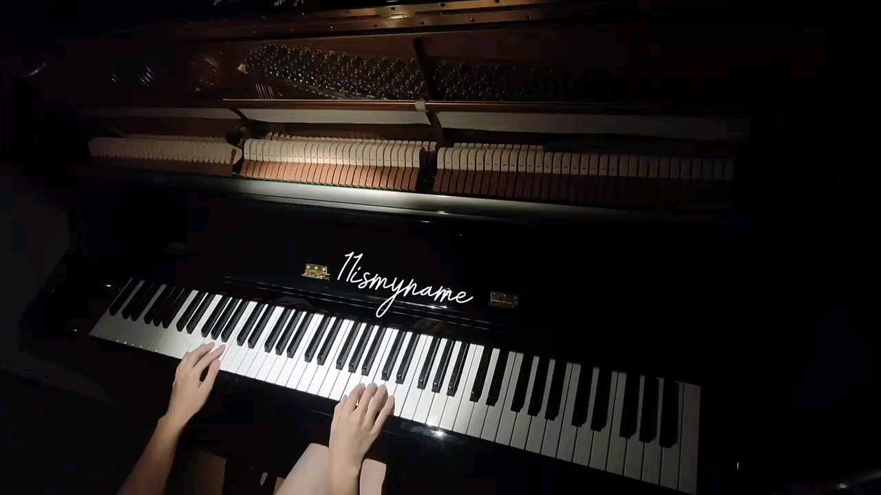 喵喵喵依旧每日一弹，快来和我互关吧。关注我都会回的哦