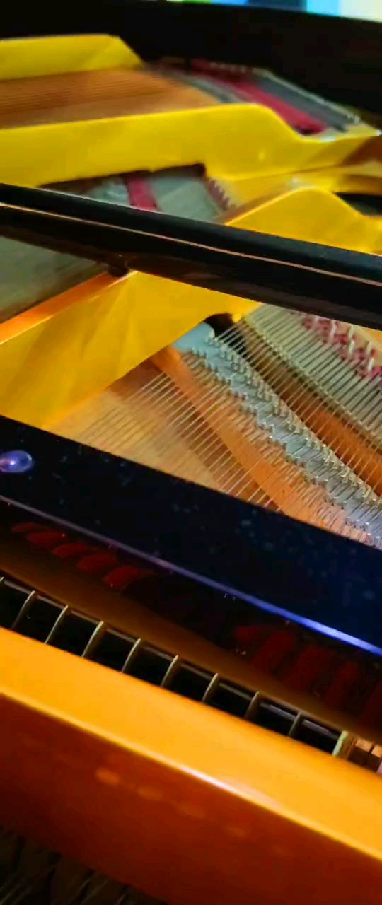 🎹🎼🎩🎵🎶🕊🎈💐💍👰🏻‍♀️梦中的婚礼🧛🏻💕 ٨ـﮩﮩ٨ـ♡‎‎ﮩ٨ـﮩﮩ٨ꪔ̤̱*੯‧̀͡₎᭄ྀི🌷🍃💞💤